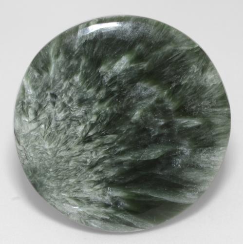 Séraphinite vert naturelle coupe roude, 20,78 ct, opaque
