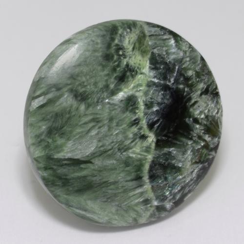 Séraphinite Vert moyen naturelle Coupe roude, 34.73 ct, Opaque