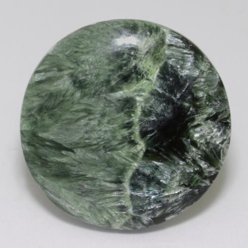 Séraphinite Vert moyen naturelle Coupe roude, 34.73 ct, Opaque