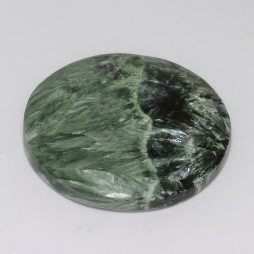 Séraphinite Vert moyen naturelle Coupe roude, 34.73 ct, Opaque