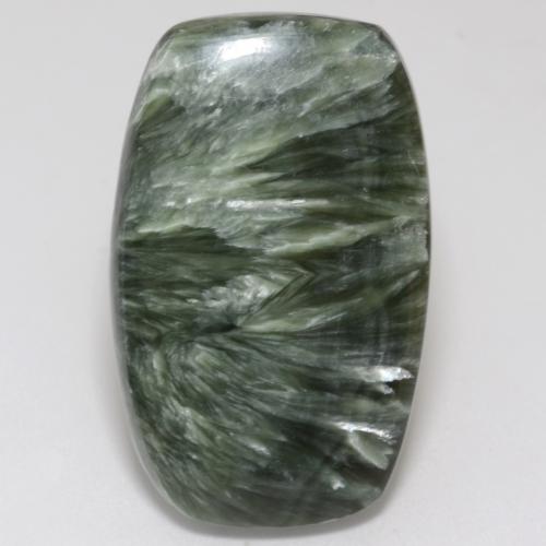 Séraphinite Vert moyen naturelle Forme fantaisie, 17.88 ct, Opaque