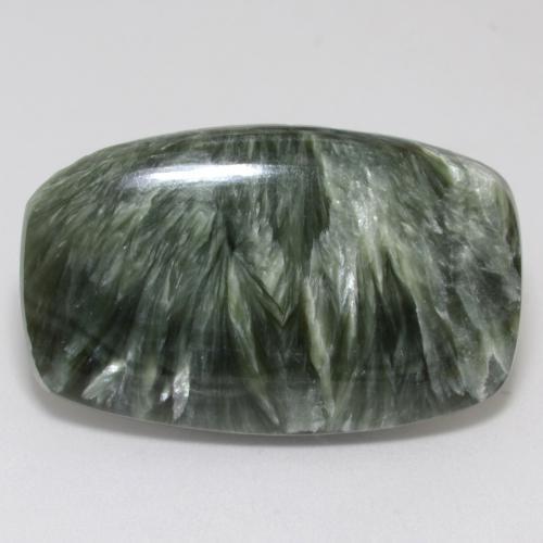 Séraphinite Vert moyen naturelle Forme fantaisie, 17.88 ct, Opaque