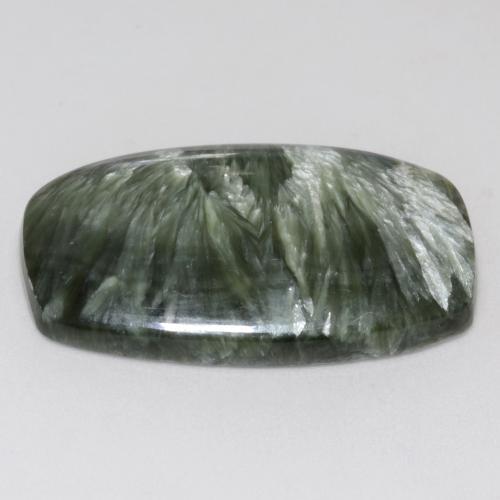 Séraphinite Vert moyen naturelle Forme fantaisie, 17.88 ct, Opaque