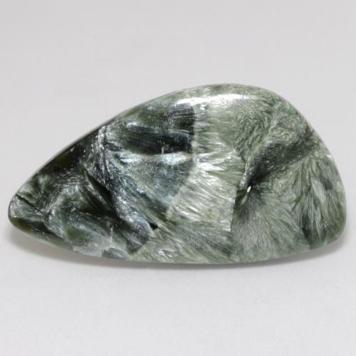 Séraphinite Vert multicolore naturelle Forme fantaisie, 13.83 ct, Opaque