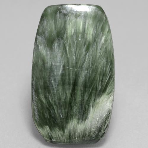 Séraphinite vert naturelle forme fantaisie, 11,68 ct, opaque