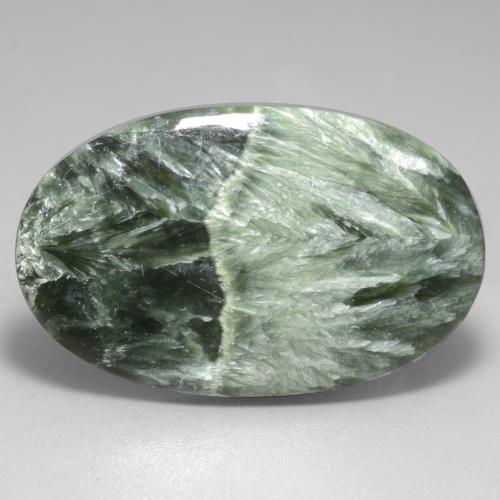 Séraphinite Vert moyen naturelle Coupe ovale, 29.23 ct, Opaque