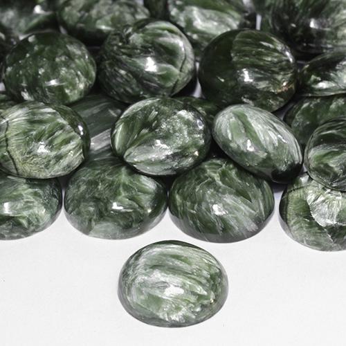Séraphinite Vert militaire naturelle Coupe roude, 4.85 ct, Opaque