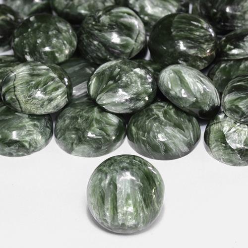 Séraphinite Vert militaire naturelle Coupe roude, 4.85 ct, Opaque