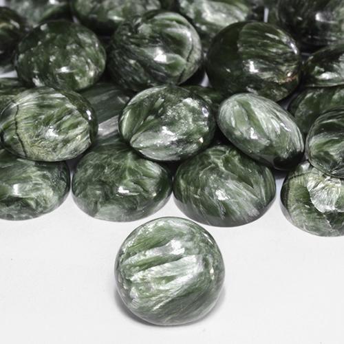Séraphinite Vert militaire naturelle Coupe roude, 4.85 ct, Opaque