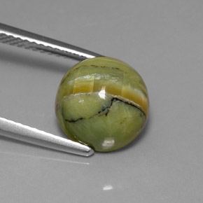 Serpentine vert naturelle coupe roude, 3,99 ct, opaque
