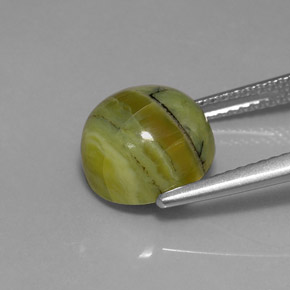 Serpentine vert naturelle coupe roude, 3,99 ct, opaque