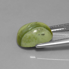 Serpentine vert naturelle coupe ovale, 3,59 ct, opaque