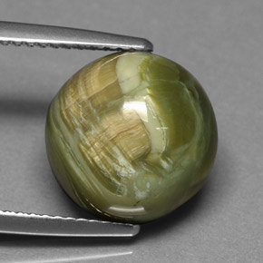 Serpentine vert naturelle coupe roude, 5,69 ct, opaque