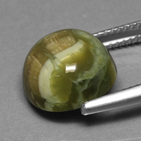 Serpentine vert naturelle coupe roude, 5,69 ct, opaque