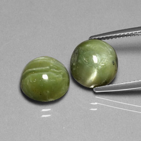 Achetez naturel ct vert serpentine gems, coupe roude, en provenance afghanistan chez gemselect. en stock, livraison internationale!