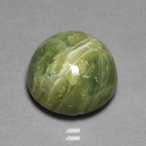 Serpentine vert naturelle coupe roude, 11,85 ct, opaque