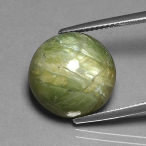Serpentine vert naturelle coupe roude, 11,85 ct, opaque