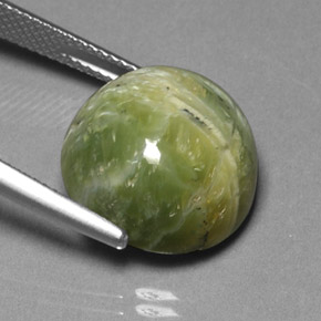 Serpentine vert naturelle coupe roude, 11,85 ct, opaque