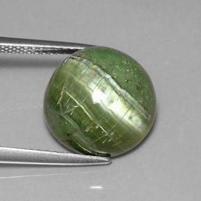 Serpentine vert naturelle coupe roude, 6,40 ct, opaque
