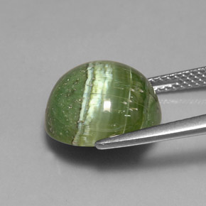 Serpentine vert naturelle coupe roude, 6,40 ct, opaque