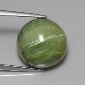 Serpentine vert naturelle coupe roude, 7,64 ct, opaque