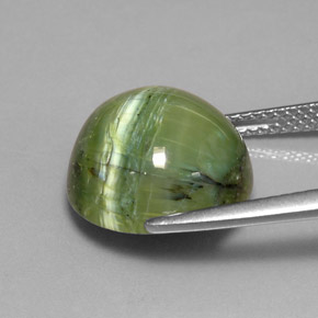 Serpentine vert naturelle coupe roude, 7,64 ct, opaque