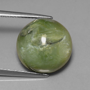 Serpentine vert naturelle coupe roude, 7,86 ct, opaque
