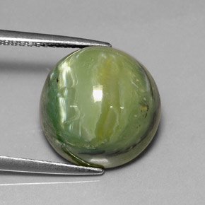 Serpentine vert naturelle coupe roude, 8,26 ct, opaque