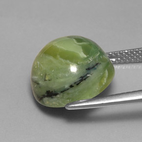 Serpentine vert naturelle coupe roude, 8,26 ct, opaque