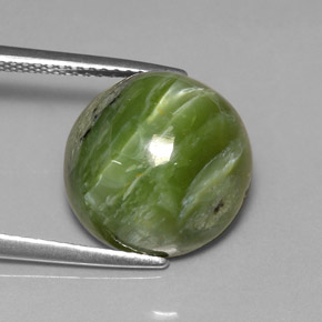 Serpentine vert naturelle coupe roude, 7,28 ct, opaque