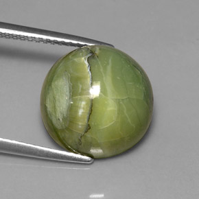 Serpentine vert naturelle coupe roude, 7,23 ct, opaque