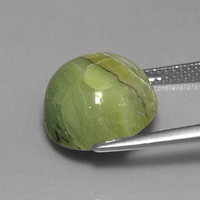 Serpentine vert naturelle coupe roude, 7,23 ct, opaque