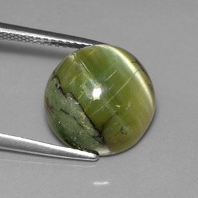 Serpentine vert naturelle coupe roude, 6,30 ct, opaque