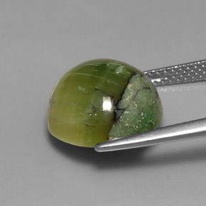 Serpentine vert naturelle coupe roude, 6,30 ct, opaque