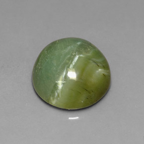 Serpentine vert naturelle coupe roude, 4,61 ct, opaque