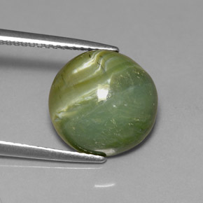Serpentine vert naturelle coupe roude, 4,61 ct, opaque