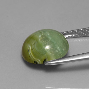 Serpentine vert naturelle coupe roude, 4,61 ct, opaque