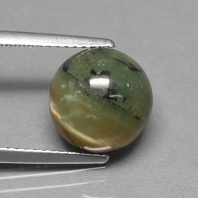 Serpentine vert naturelle coupe roude, 3,63 ct, opaque