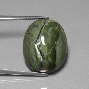 Serpentine vert naturelle coupe ovale, 26,53 ct, opaque