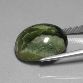 Serpentine vert naturelle coupe ovale, 26,53 ct, opaque