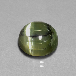 Serpentine vert naturelle coupe roude, 7,53 ct, opaque