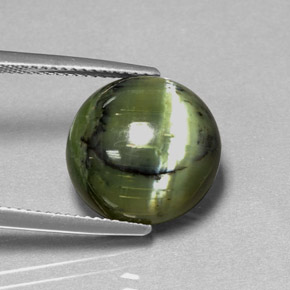 Serpentine vert naturelle coupe roude, 7,53 ct, opaque