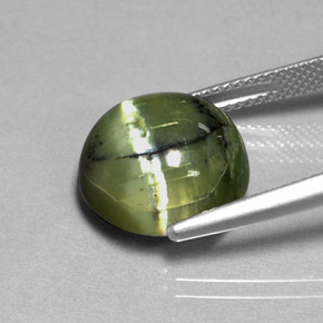 Serpentine vert naturelle coupe roude, 7,53 ct, opaque