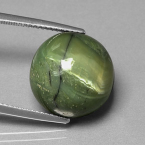 Serpentine vert naturelle coupe roude, 11,31 ct, opaque