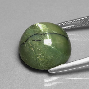 Serpentine vert naturelle coupe roude, 11,31 ct, opaque