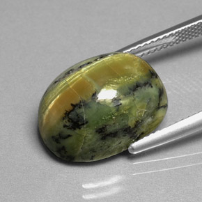 Serpentine vert naturelle coupe ovale, 10,26 ct, opaque