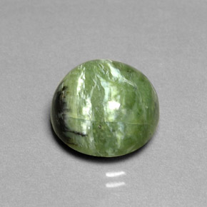 Serpentine vert naturelle coupe roude, 7,91 ct, opaque