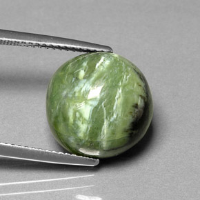 Serpentine vert naturelle coupe roude, 7,91 ct, opaque
