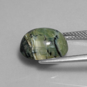 Serpentine vert naturelle coupe ovale, 4,29 ct, opaque