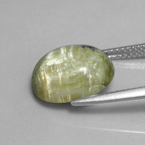 Serpentine vert naturelle coupe ovale, 3,97 ct, opaque